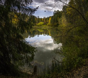 Лесной пруд (осень под Новосибирском)