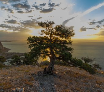 Рассвет в Крыму