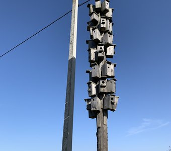 Коммуналка