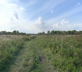 Сибирское лето