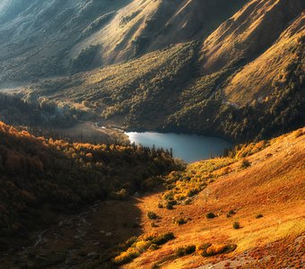 Планета Кардывач