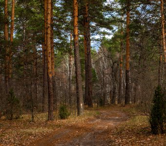 Осенний лес