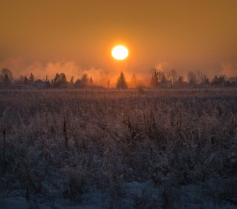Морозное утро под Новосибирском
