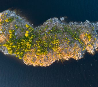 Остров на Ладожских шхерах
