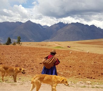 Жизнь в Перуанских Андах