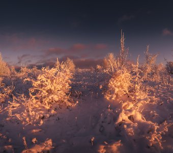 Пламя на снегу. Долгоруковская яйла, Крым, закат.