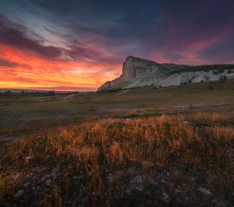 Краски вдохновения