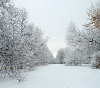 Русская зима в Коломенском