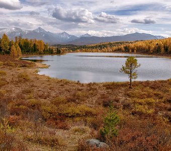 Осеннее Киделю.