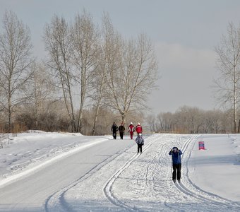 По правильной лыжне