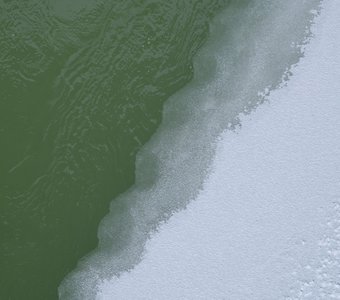 Бело-зелёная диагональ реки Лебедь