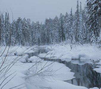 Северная сказка