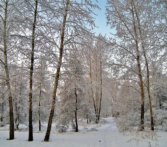 По зимнему парку