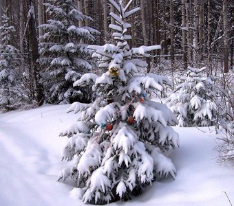 Подарки Деда Мороза