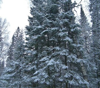 В отражении заката