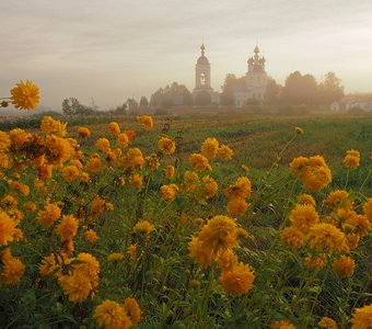 Золотые шары