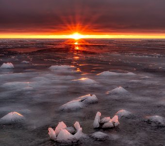 Белое море...