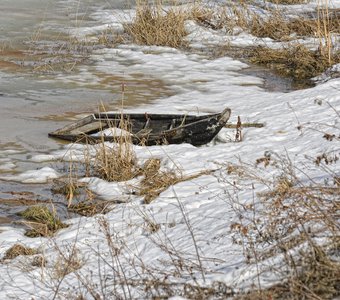 Весенняя грусть