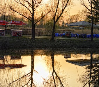 Отраженная весна