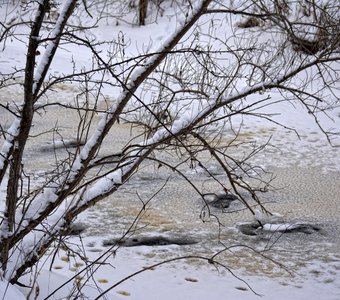 Скоро весна