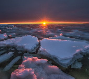 Когда Белое море не совсем белое.