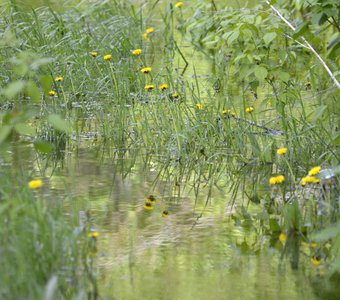 Затопление
