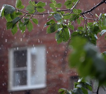 Дождь в городе