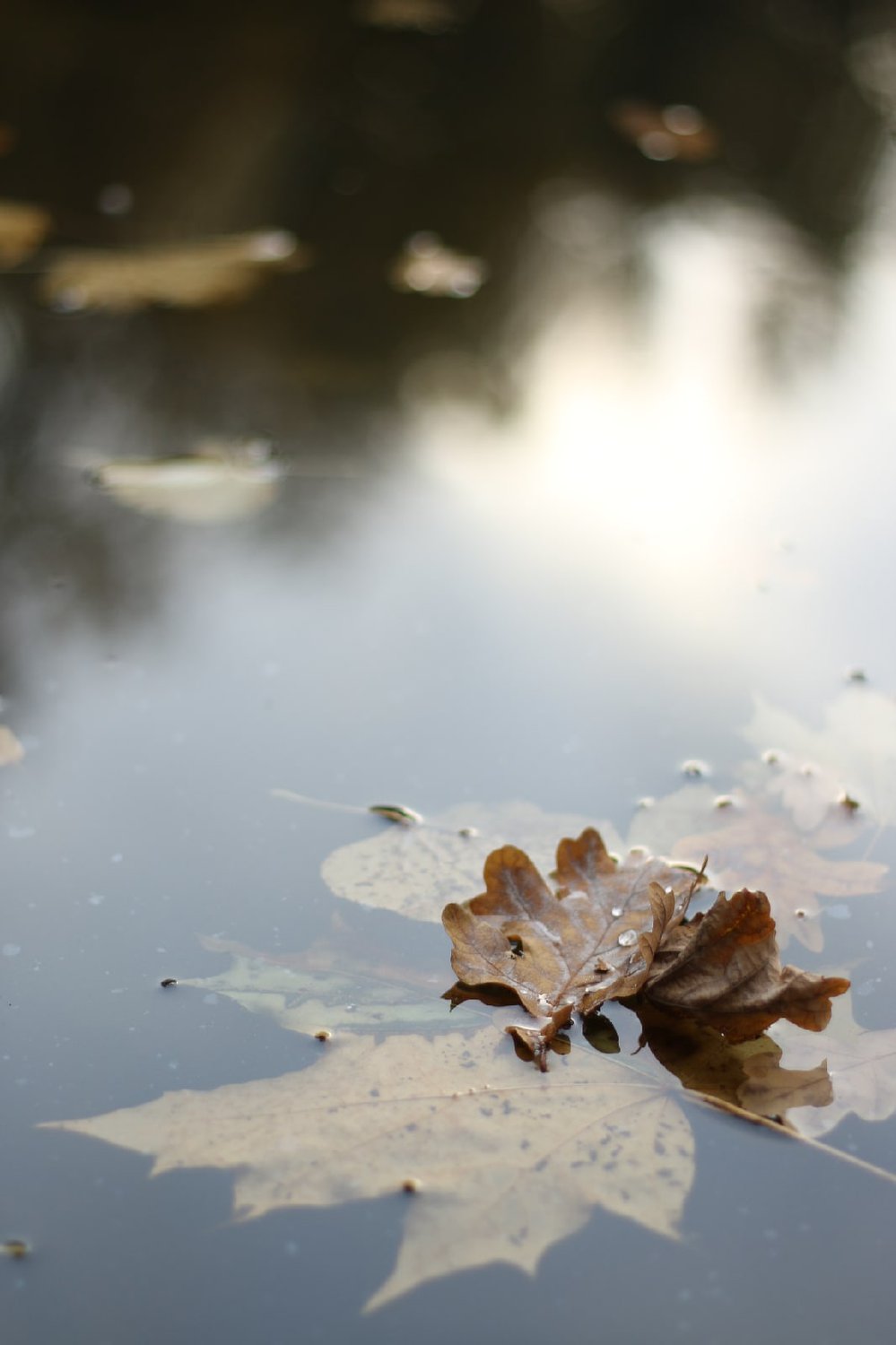 Мои краски отыграли.