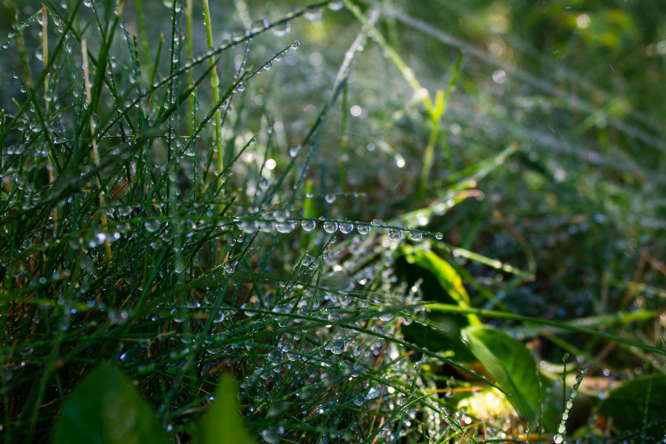Капельки-лучики