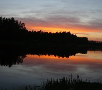 Зеркало природы