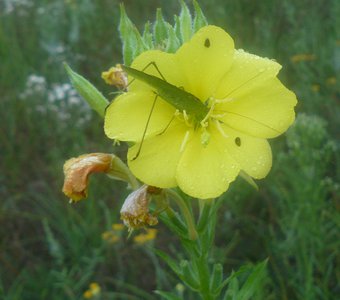 Позавтракаем!