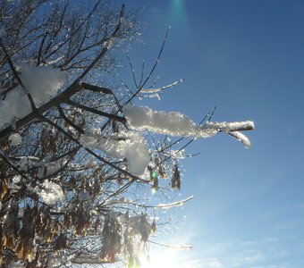 Хрустальные серьги.