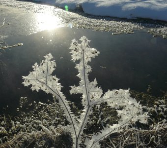 Серебряное утро.