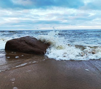 Берег финского залива