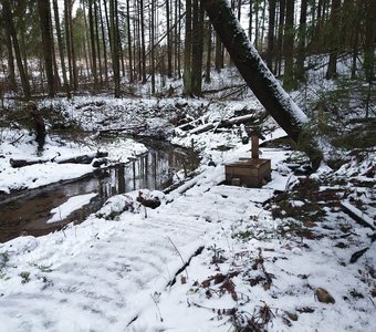 Лесные источники