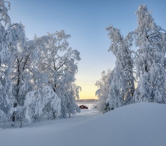 Февраль