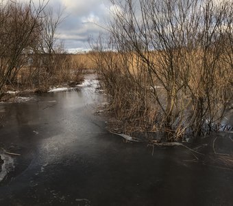 Лахтинский разлив