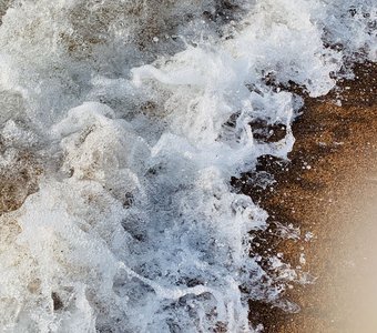 Стражи Байкала