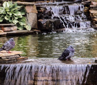 Водные процедуры.Water procedures