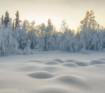 Февраль