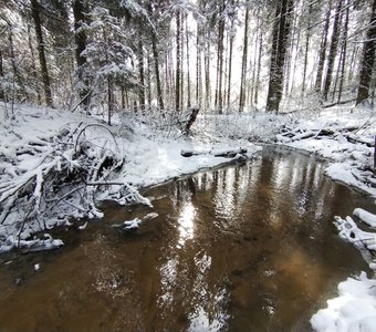 Середина марта. Вчера -зеленая трава, сегодня- сугробы