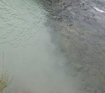 слияние Бии и Катуни