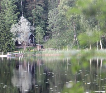 Лесное озеро