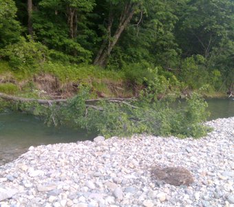 Упавшиее дерево через реку Маргаритовка