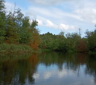 Чудесный мир воды