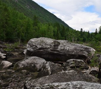 Высохшая протока реки Витим. Государственный природный заповедник "Витимский".