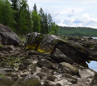Высохшая протока реки Витим. Государственный природный заповедник "Витимский".