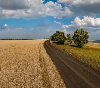 Дорога вдоль поля