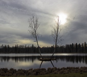 Серебряное озеро в мартовских лучах