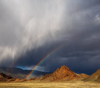 Краски Монгольской степи